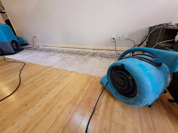 Professional Water Damage Repair technician working in Lake Junaluska, NC